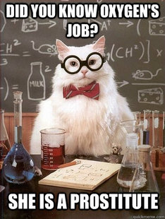 Chemistry Cat