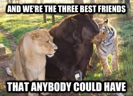 Friends