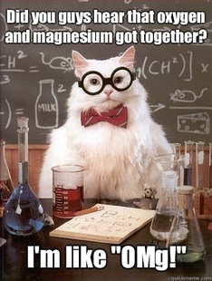 Chemistry Cat