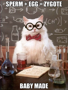 Chemistry Cat