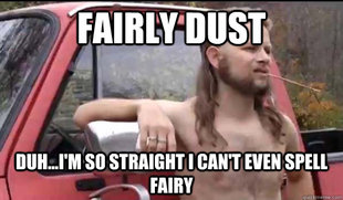 Almost Politically Correct Redneck