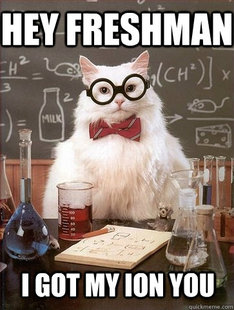 Chemistry Cat