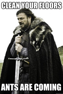 Winter is coming