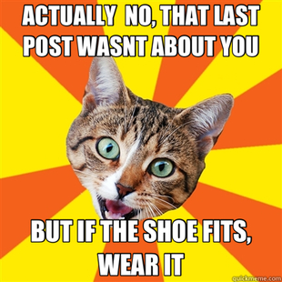 Bad Advice Cat