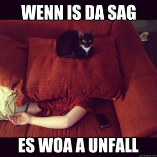 jealous cat
