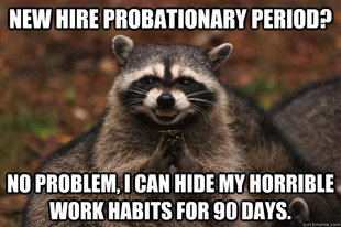 Evil Plotting Raccoon