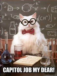 Chemistry Cat