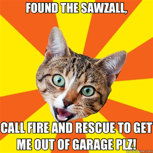 Bad Advice Cat
