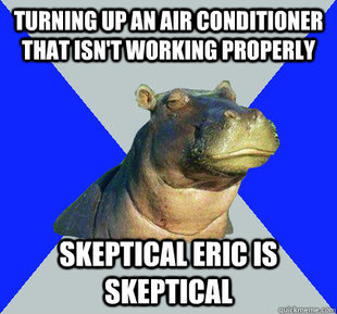 Skeptical Hippo