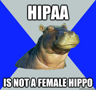 Skeptical Hippo