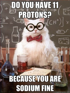 Chemistry Cat