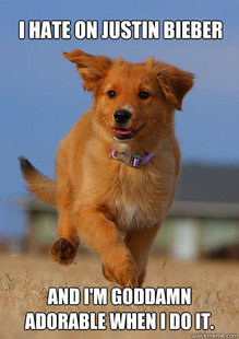 Ridiculously Photogenic Puppy