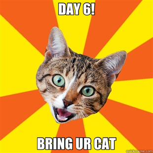 Bad Advice Cat
