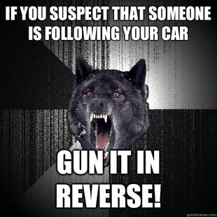 Insanity Wolf