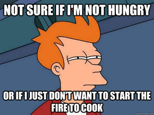 Futurama Fry