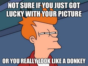 Futurama Fry