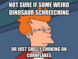 Futurama Fry