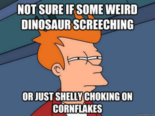 Futurama Fry