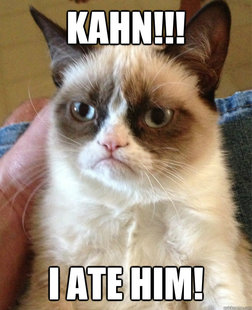 Grumpy cat