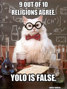 Chemistry Cat