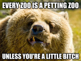 Bad Advice Bear