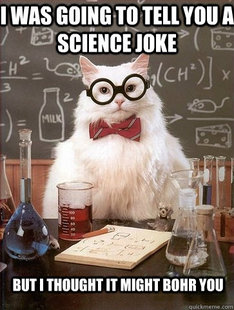 Chemistry Cat