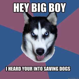 Creeper Canine