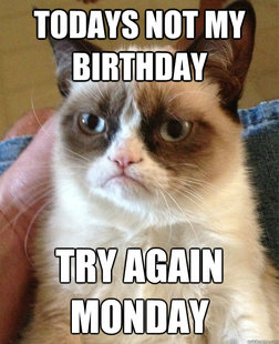 Grumpy cat