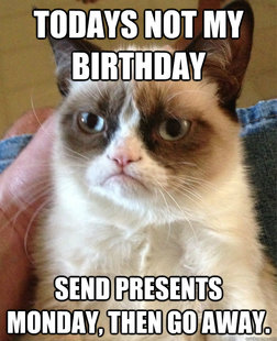 Grumpy cat