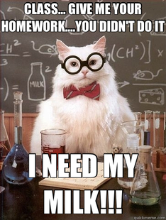 Chemistry Cat