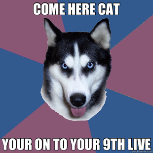 Creeper Canine