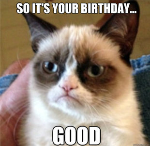 Grumpy cat