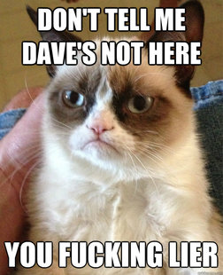 Grumpy cat