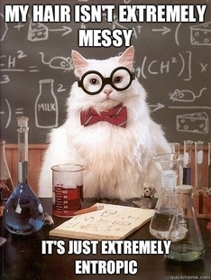 Chemistry Cat