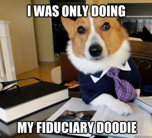 Lawyer Dog