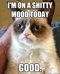 Grumpy cat