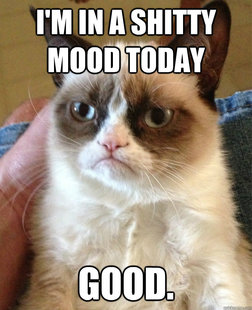Grumpy cat
