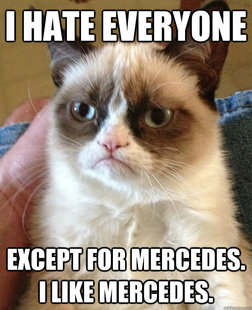 Grumpy cat