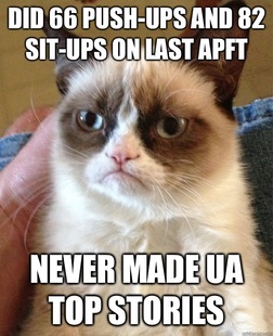 Grumpy Cat