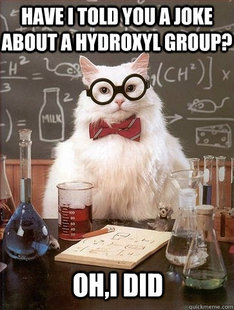 Chemistry Cat