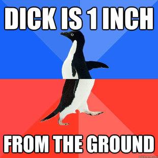 Socially Awkward Awesome Penguin