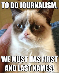 Grumpy cat