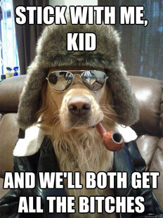 Overly Suave Dog