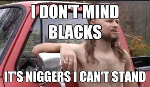 Almost Politically Correct Redneck