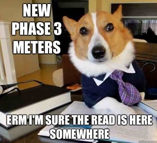 Lawyer Dog