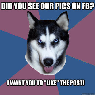 Creeper Canine