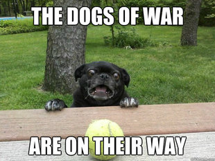 Berks Dog