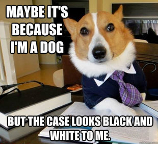 Lawyer Dog