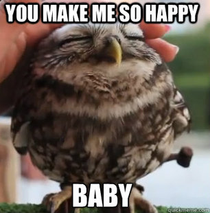 cute owl