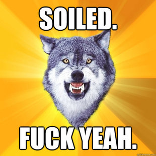 Courage Wolf